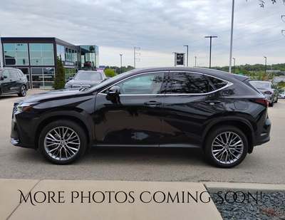 2023 Lexus NX 350h Luxury