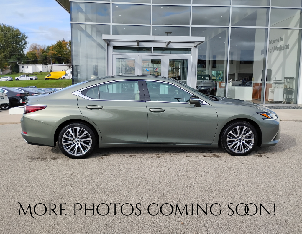 2019 Lexus ES 350