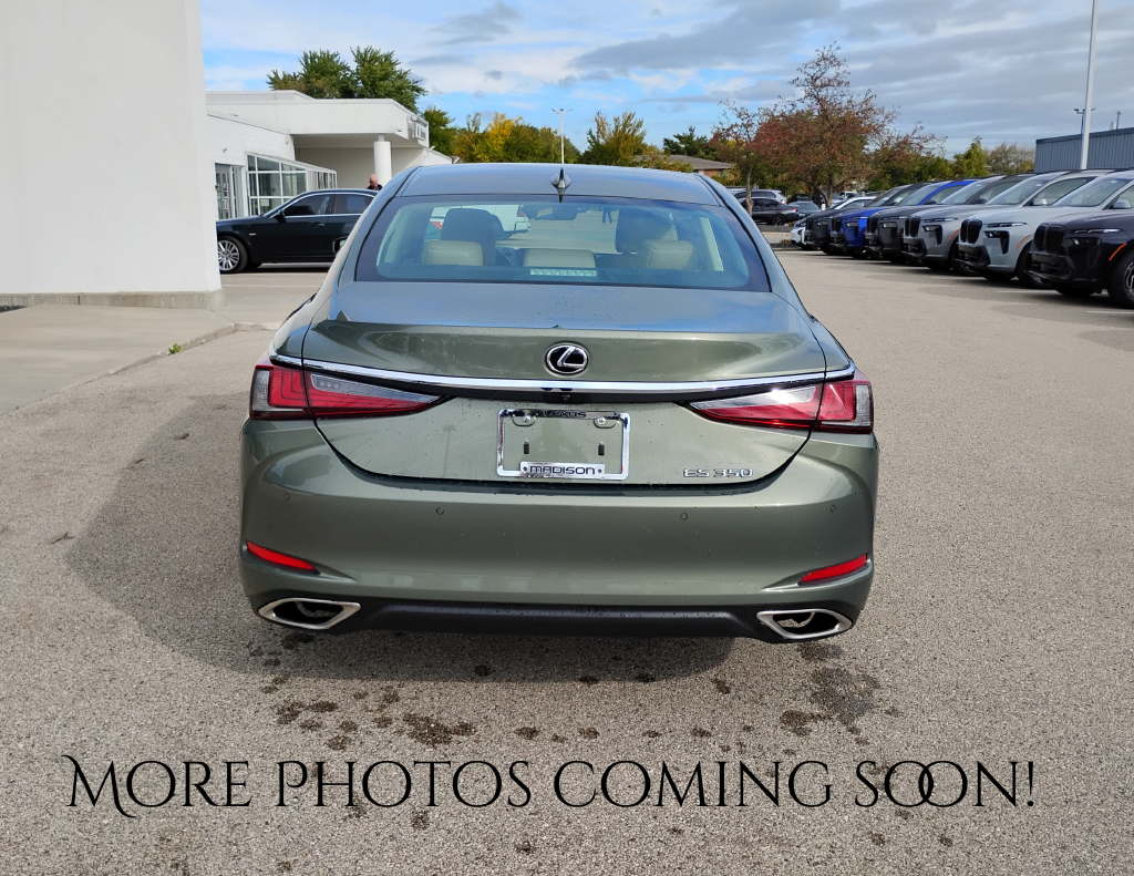 2019 Lexus ES 350
