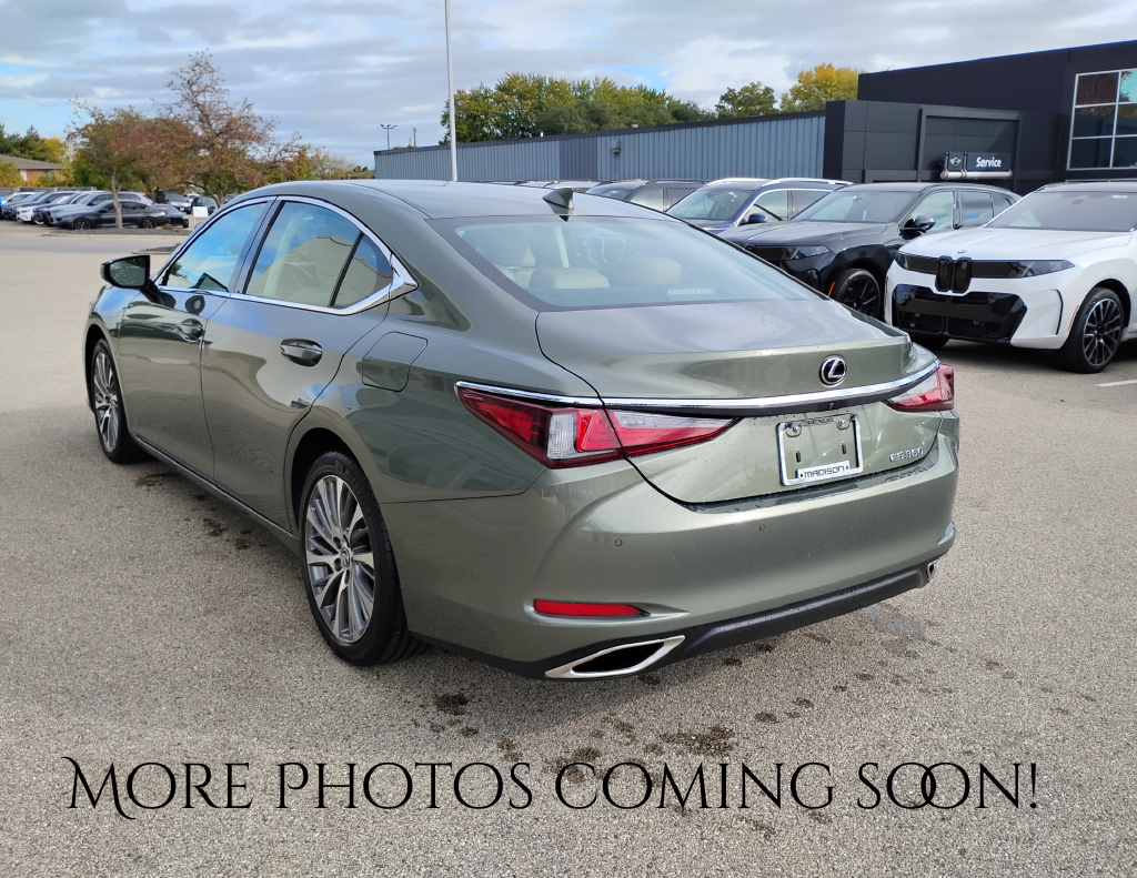 2019 Lexus ES 350
