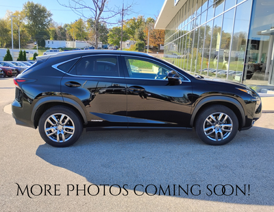 2015 Lexus NX 300h