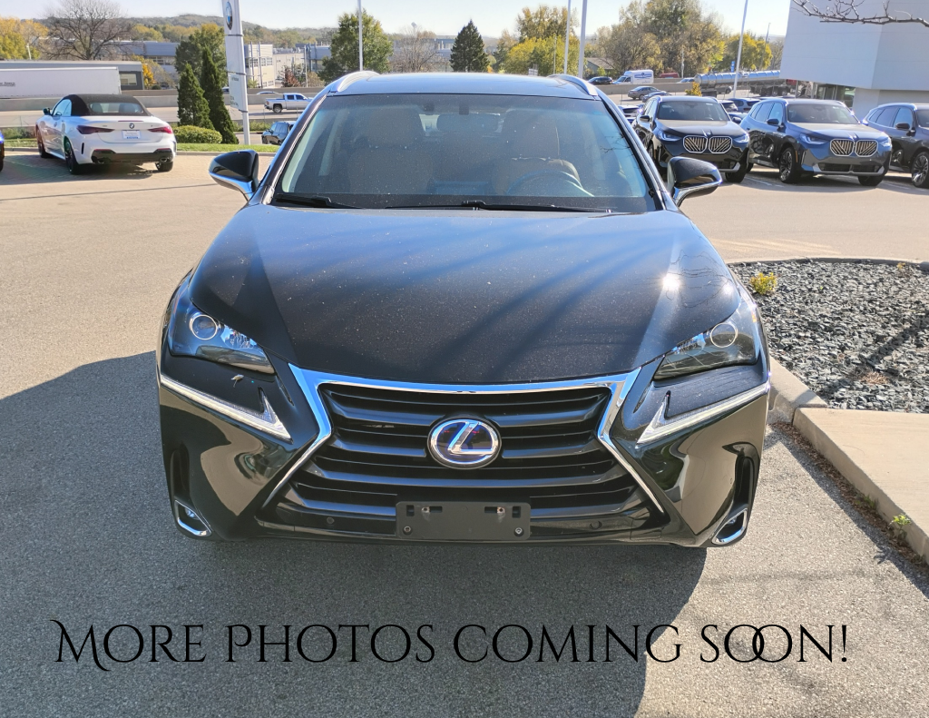 2015 Lexus NX 300h