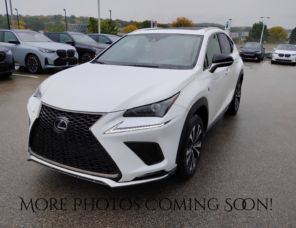 2020 Lexus NX 300 F Sport