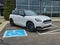 2025 MINI Countryman All4 Cooper SE
